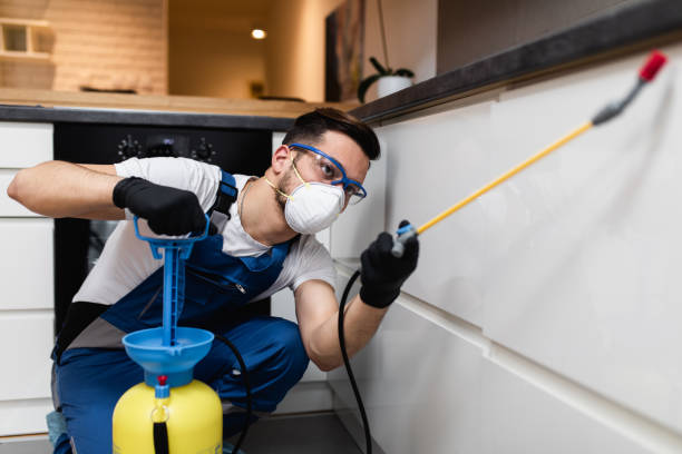 Best Flea Control Services  in New York Mills, NY