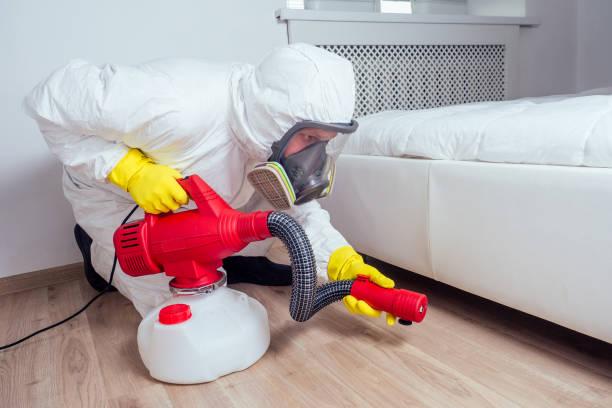 Best Bed Bug Extermination  in New York Mills, NY