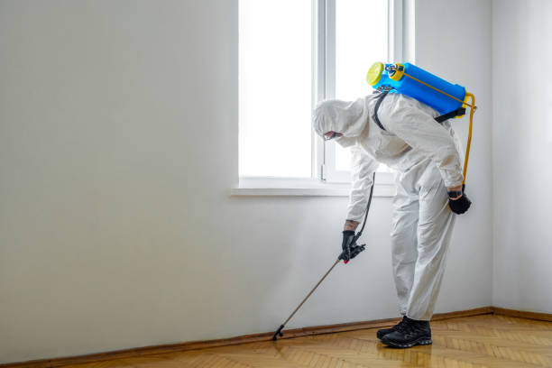 Reliable New York Mills, NY Pest Control Solutions