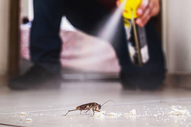 Best Residential Pest Control  in New York Mills, NY