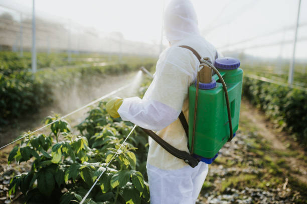 Best Ant Control Services  in New York Mills, NY